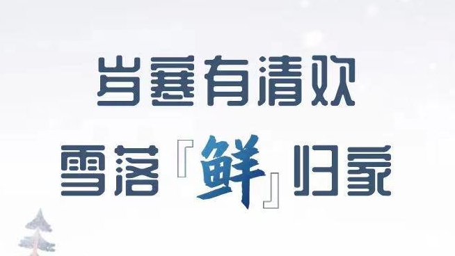 月照窗前雪，鲜自家中来
