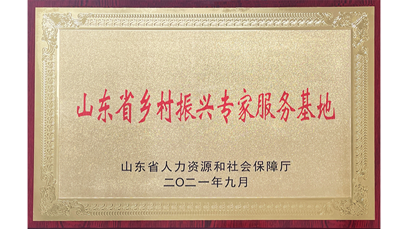 山东省乡村振兴专家服务基地